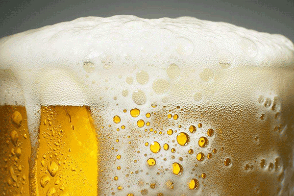啤酒简易酿造